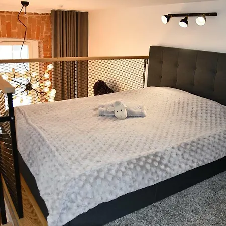 Modern Luxury Loft Διαμέρισμα Ταλίν